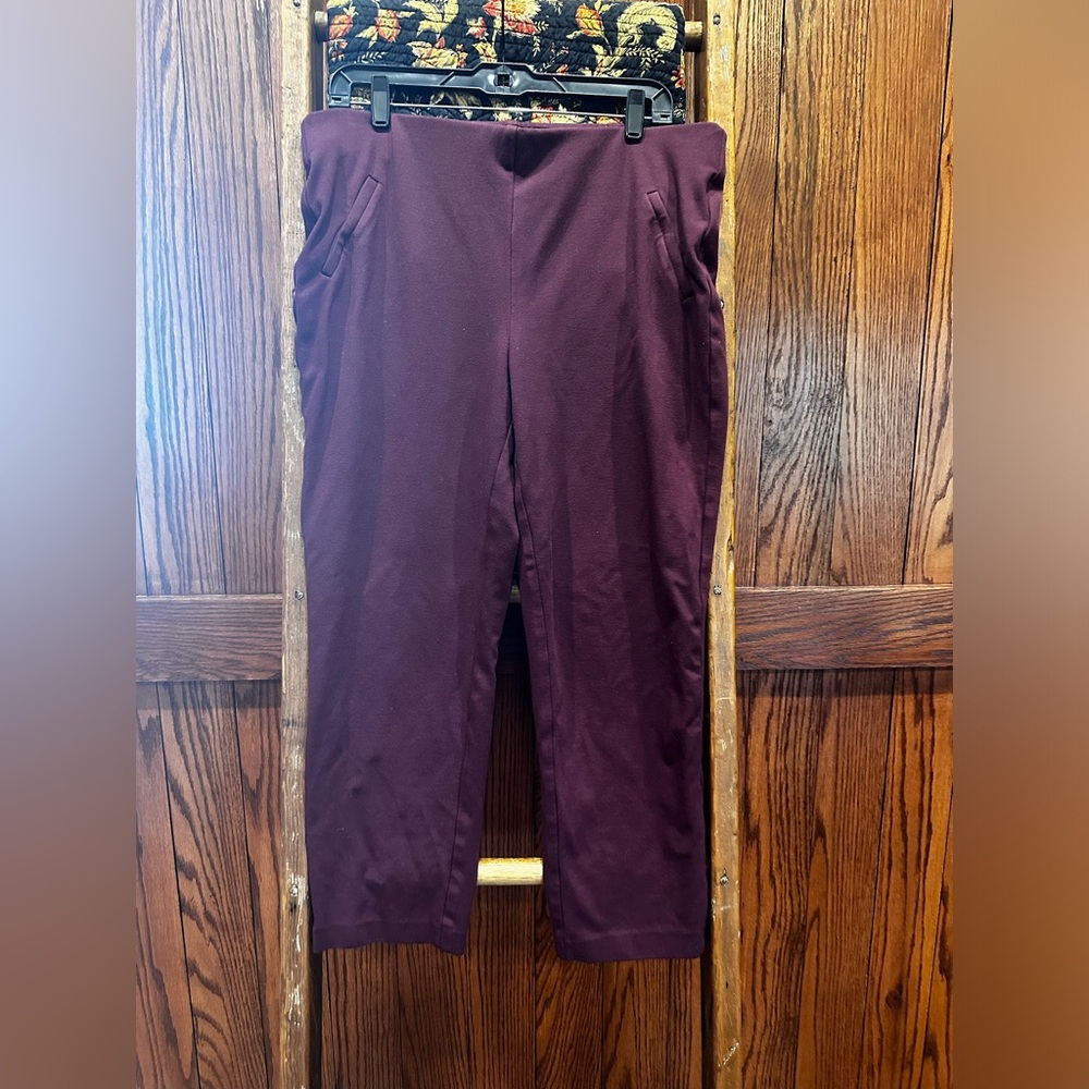 Chico’s Pull On Pants